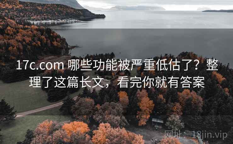 17c.com 哪些功能被严重低估了？整理了这篇长文，看完你就有答案