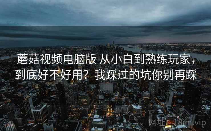 蘑菇视频电脑版 从小白到熟练玩家，到底好不好用？我踩过的坑你别再踩