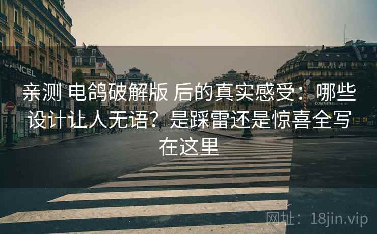 亲测 电鸽破解版 后的真实感受：哪些设计让人无语？是踩雷还是惊喜全写在这里