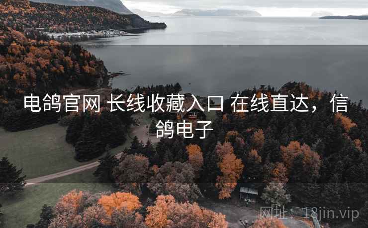 电鸽官网 长线收藏入口 在线直达，信鸽电子