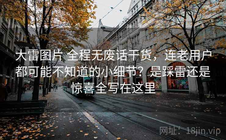 大雷图片 全程无废话干货，连老用户都可能不知道的小细节？是踩雷还是惊喜全写在这里