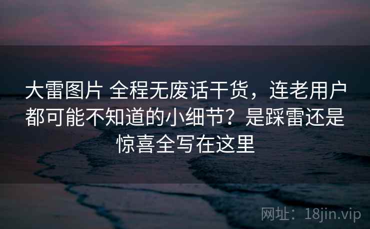 大雷图片 全程无废话干货，连老用户都可能不知道的小细节？是踩雷还是惊喜全写在这里