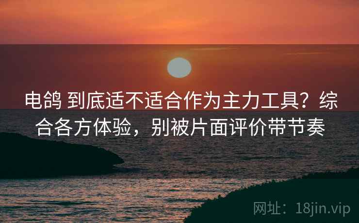 电鸽 到底适不适合作为主力工具？综合各方体验，别被片面评价带节奏
