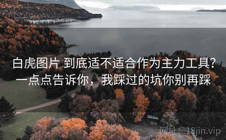 白虎图片 到底适不适合作为主力工具？一点点告诉你，我踩过的坑你别再踩