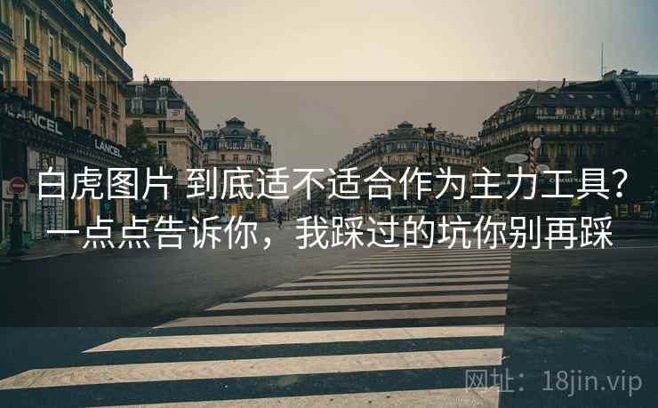 白虎图片 到底适不适合作为主力工具？一点点告诉你，我踩过的坑你别再踩