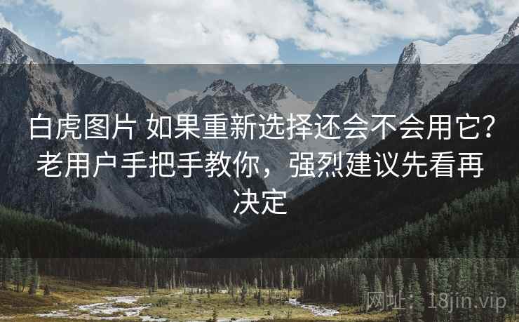 白虎图片 如果重新选择还会不会用它？老用户手把手教你，强烈建议先看再决定