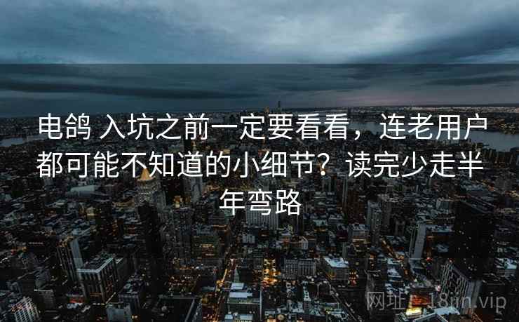 电鸽 入坑之前一定要看看，连老用户都可能不知道的小细节？读完少走半年弯路