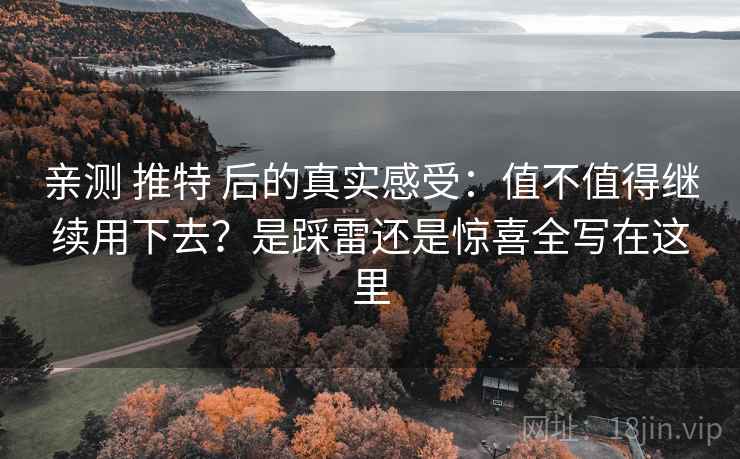亲测 推特 后的真实感受：值不值得继续用下去？是踩雷还是惊喜全写在这里